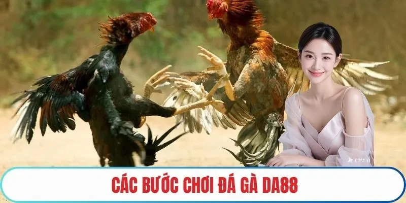 Các bước chơi đá gà DA88